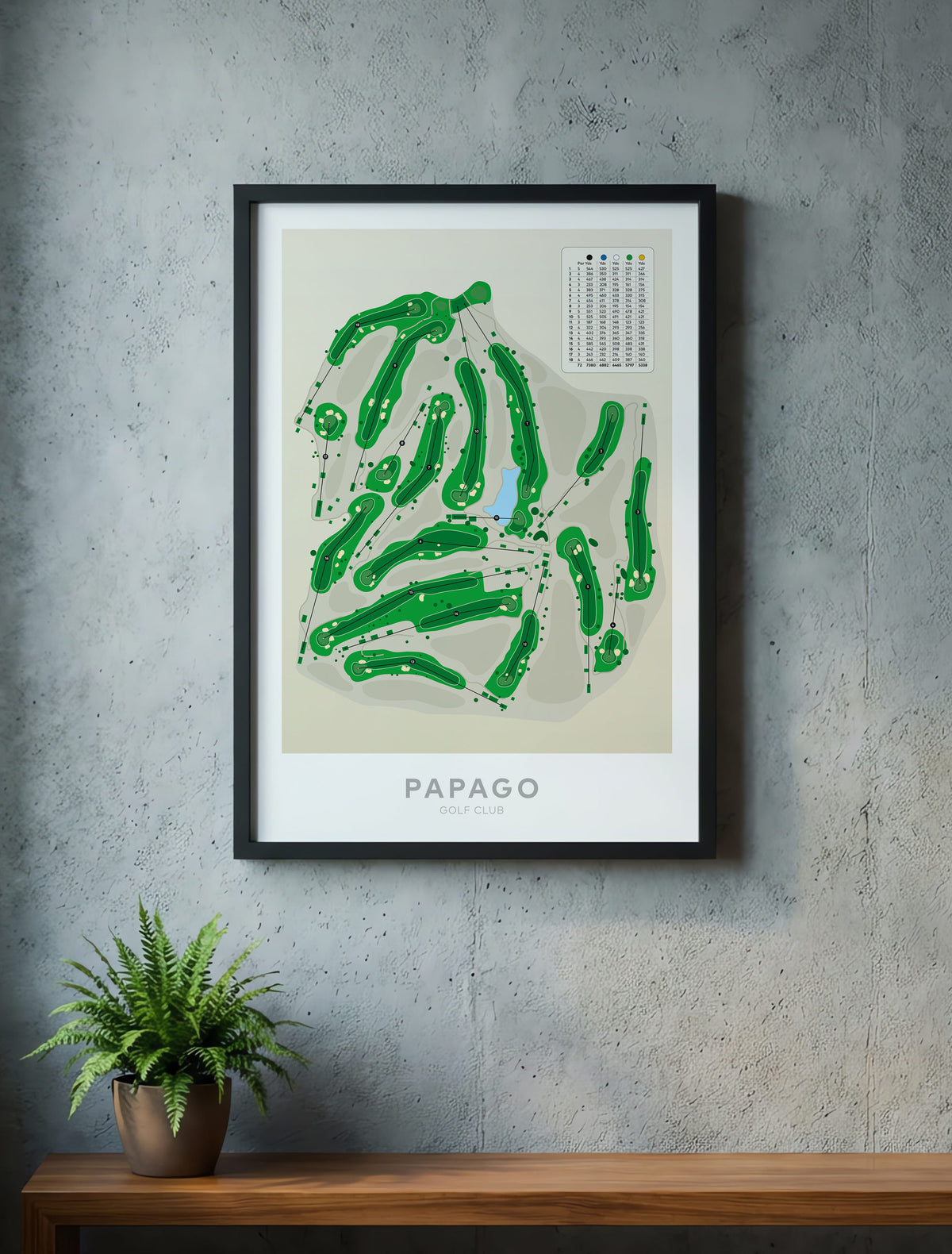 Black framed art print featuring a green abstract map design labeled 'PAPAGO' hangs on a textured gray concrete wall above a wooden shelf with a potted fern.